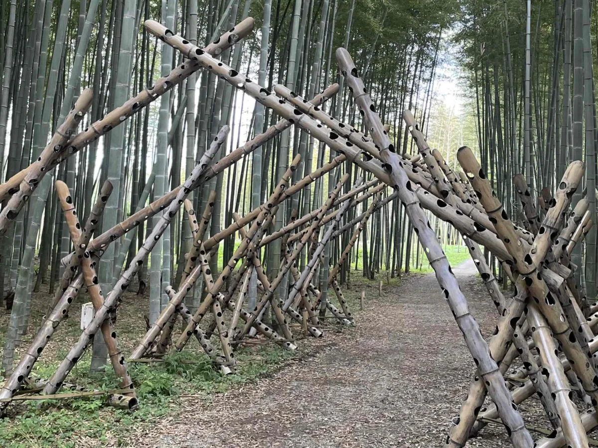 竹を組んでつくられた、竹のトンネルの小道