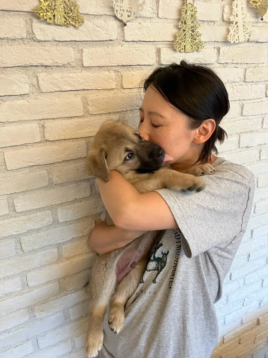 子犬を胸に抱きしめる人