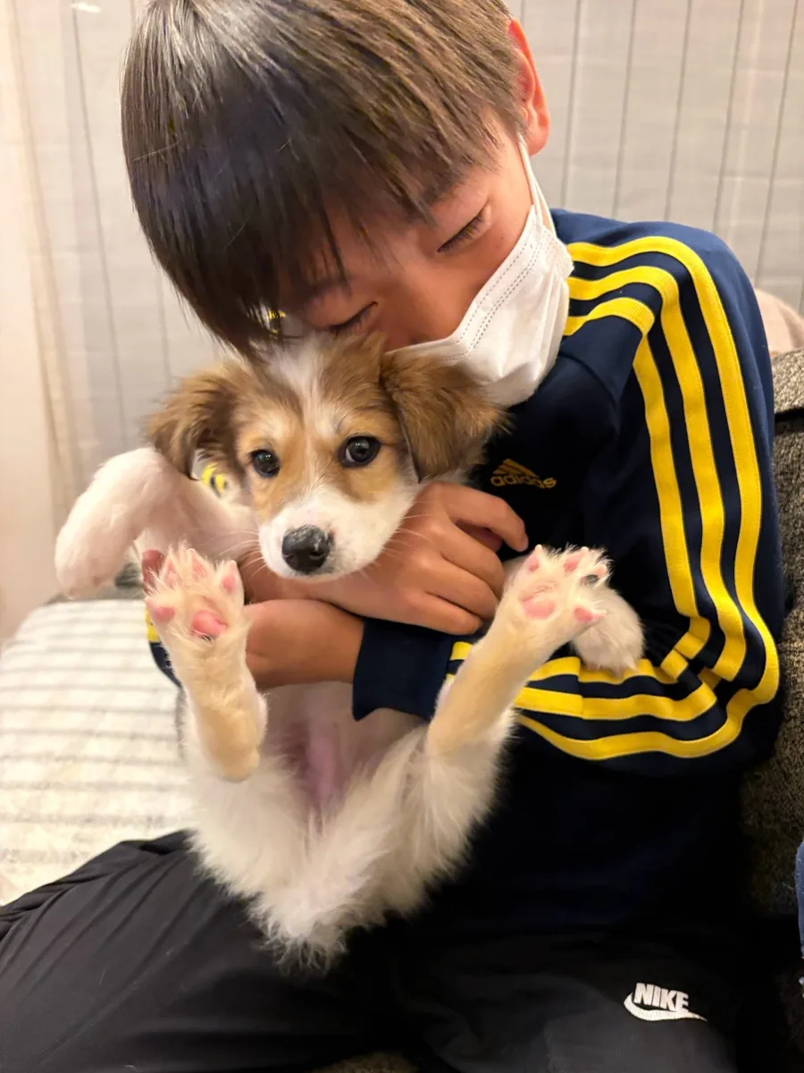 子犬を抱きしめる男の子