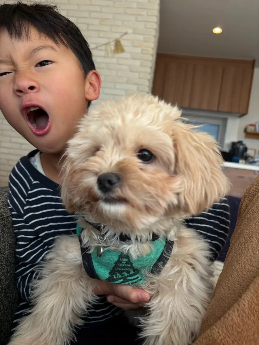犬を抱いて、大きく口を開ける男の子