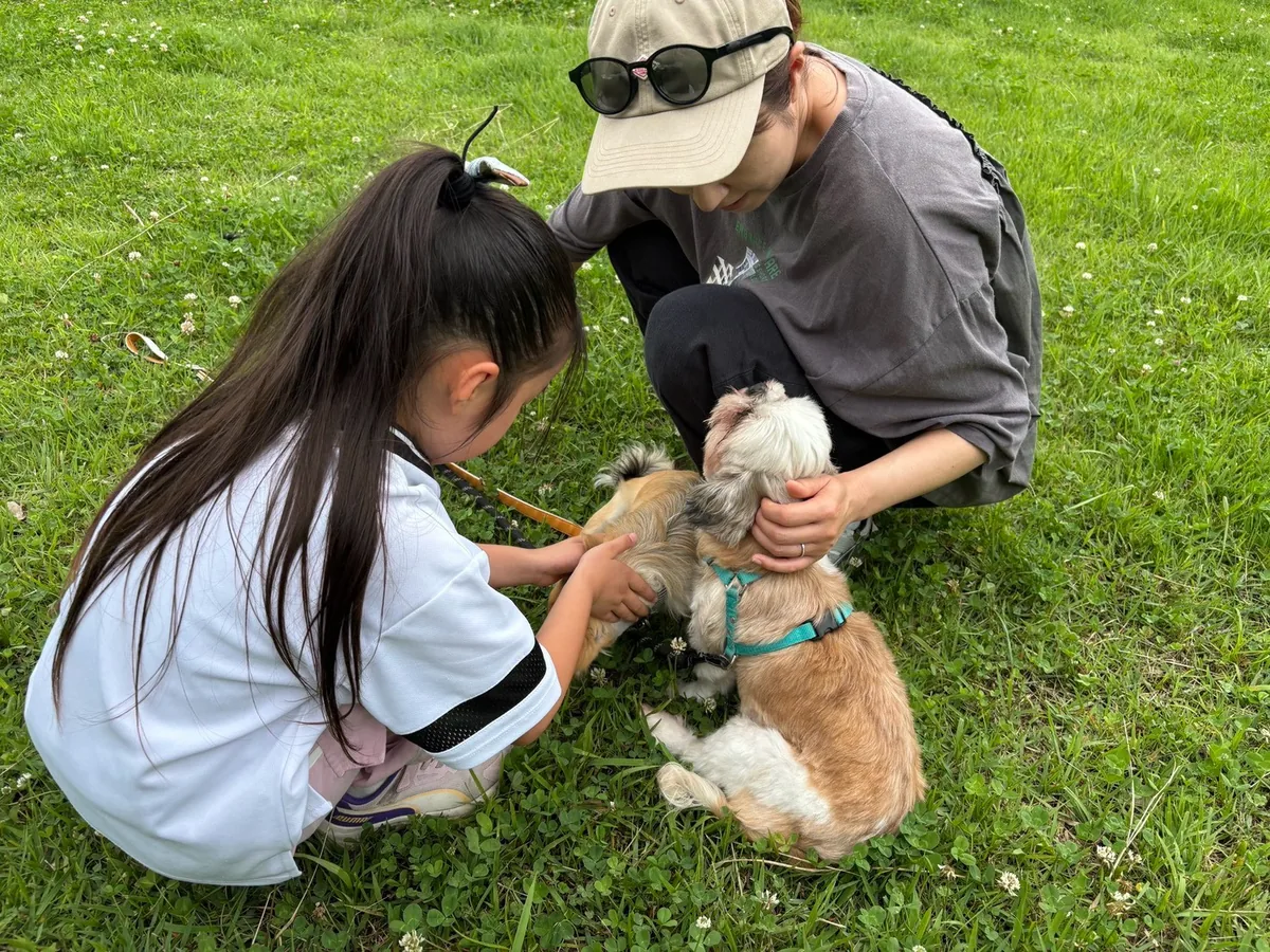 芝生の上で、女の子と大人が犬をなでる