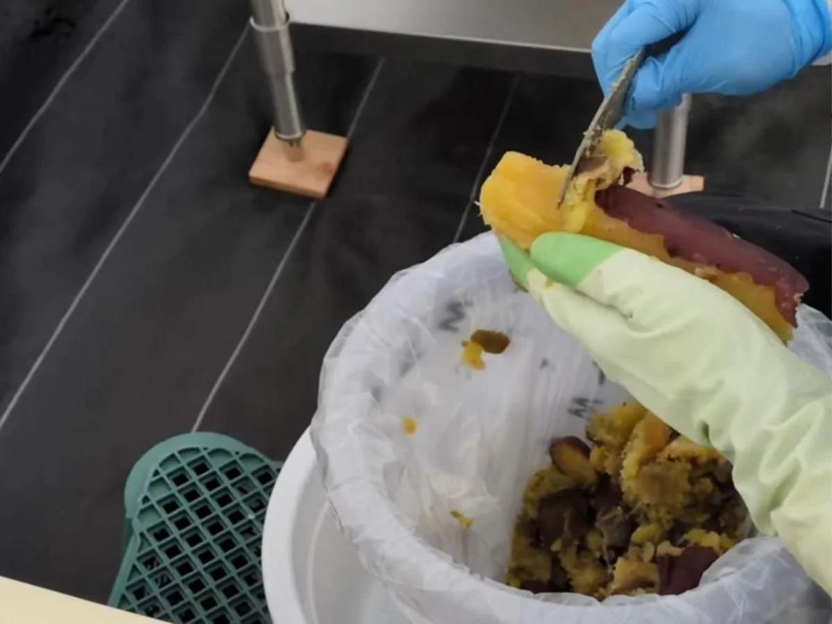 蒸したさつまいもの皮を、手袋をした手でナイフを使ってむく作業