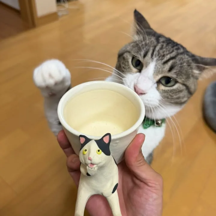 猫の形の器を差し出す手に、前足を伸ばすヤッ太郎