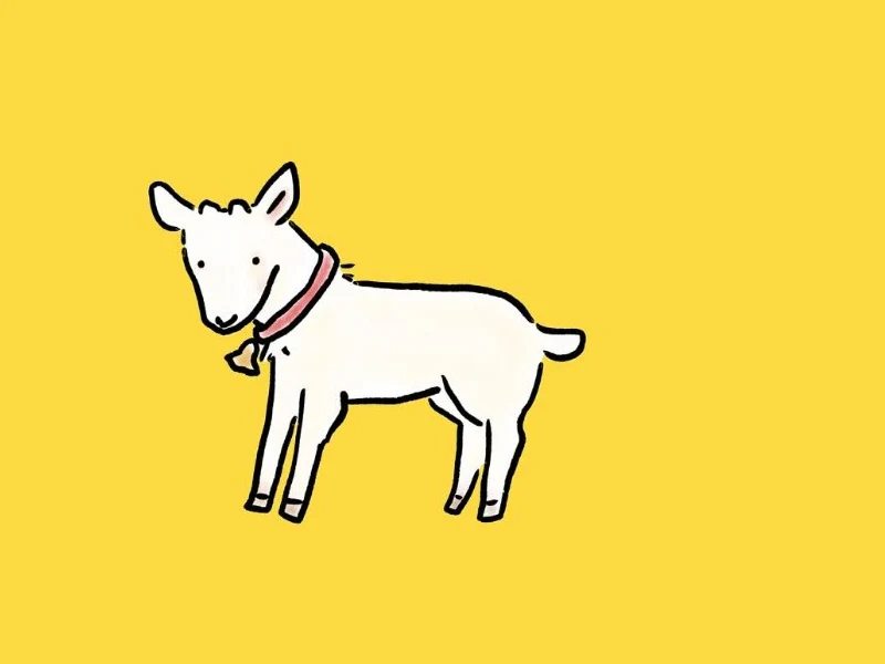 黄色の背景に立つ、首輪をつけた白いこやぎのイラスト