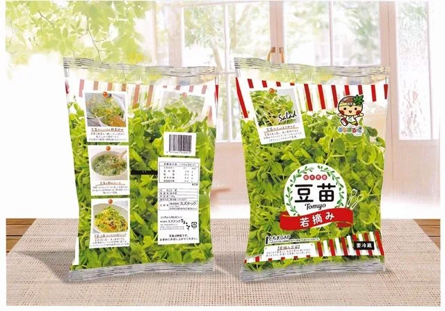 スズテックが栽培・販売する豆苗